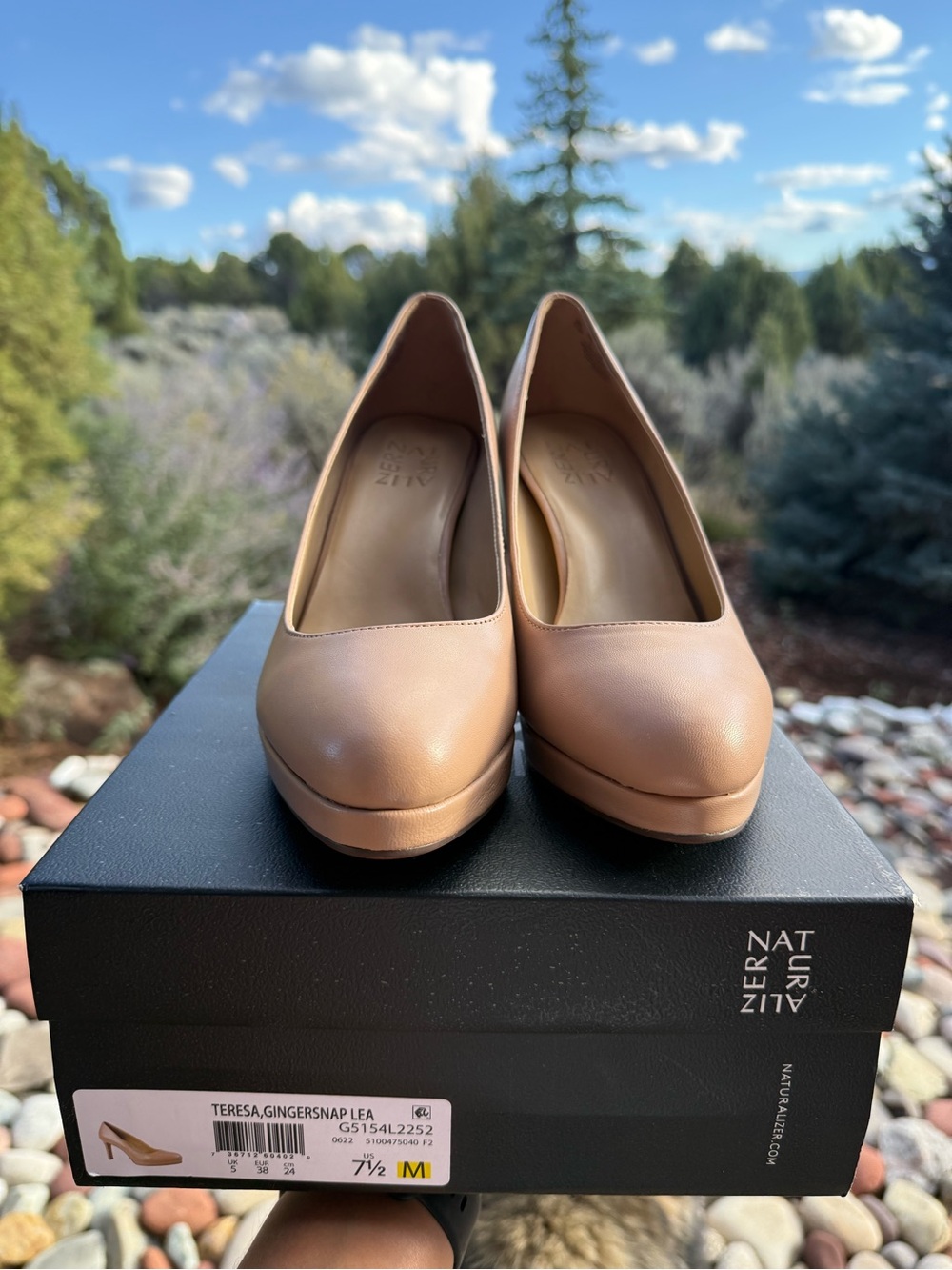 Naturalizer Teresa Platform Pump in Ginger Snap